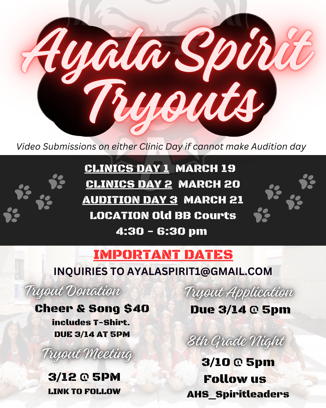 Tryout Flier